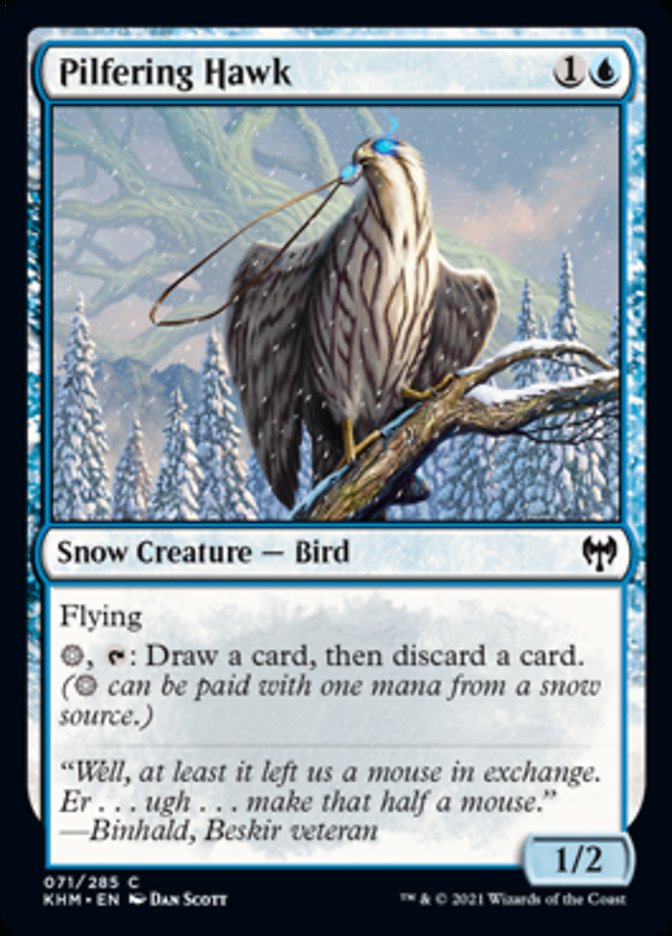 Pilfering Hawk [Kaldheim] | Good Games Morley
