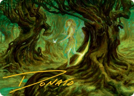 Neverwinter Dryad Art Card (Gold-Stamped Signature) [Dungeons & Dragons: Adventures in the Forgotten Realms Art Series] | Good Games Morley