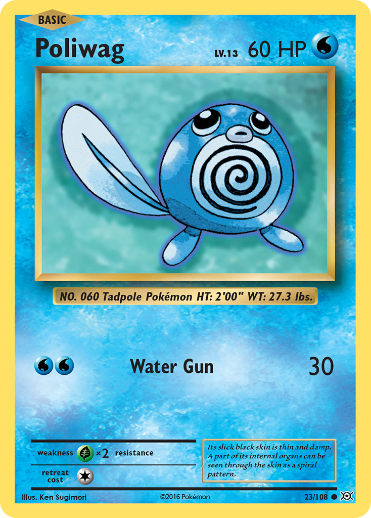 Poliwag (23/108) [XY: Evolutions] | Good Games Morley