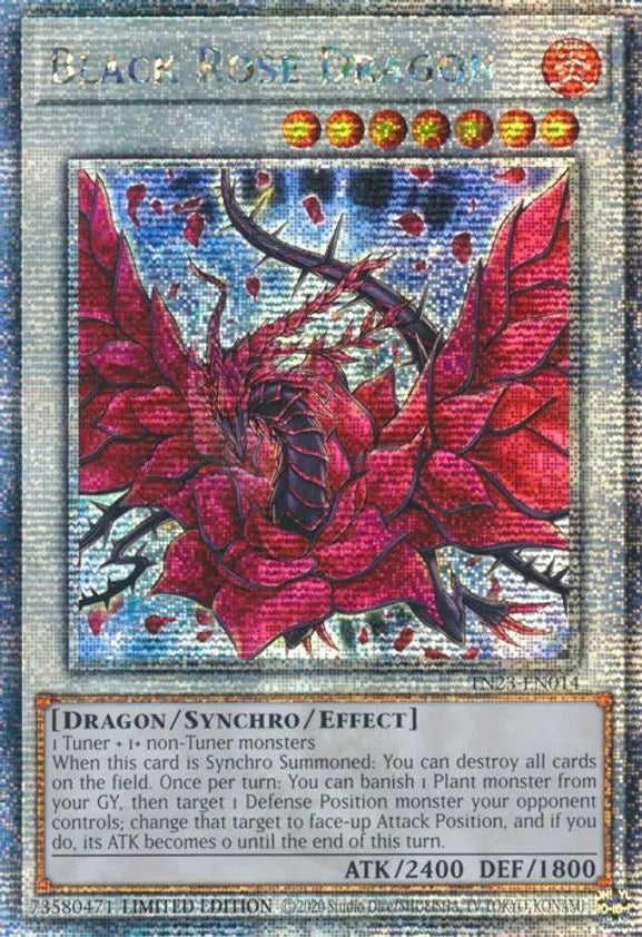 Black Rose Dragon [TN23-EN014] Quarter Century Secret Rare | Good Games Morley