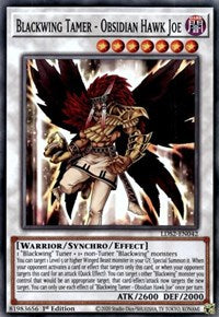 Blackwing Tamer - Obsidian Hawk Joe [LDS2-EN042] Common | Good Games Morley