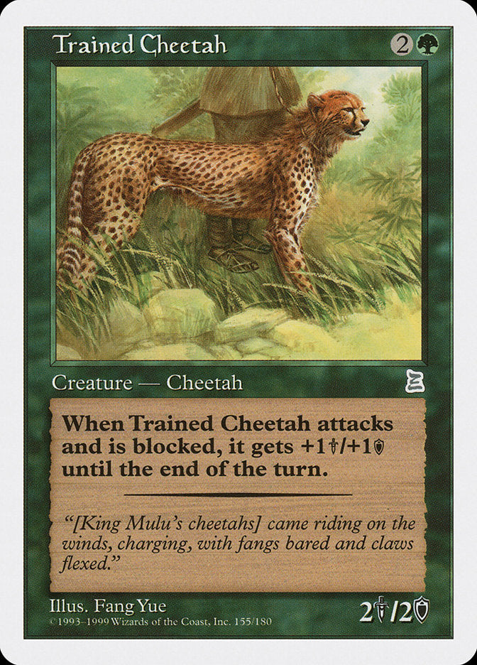 Trained Cheetah [Portal Three Kingdoms] | Good Games Morley
