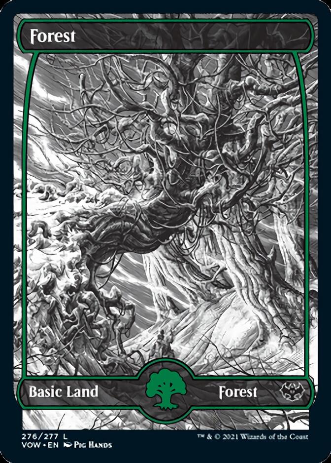 Forest (276) [Innistrad: Crimson Vow] | Good Games Morley