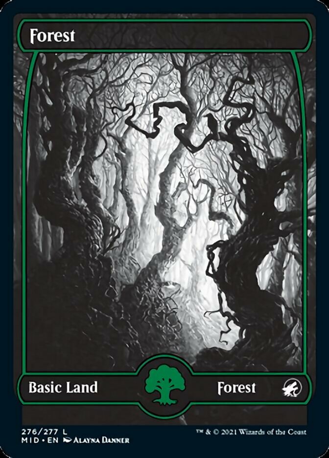 Forest (276) [Innistrad: Midnight Hunt] | Good Games Morley
