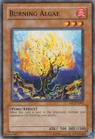 Burning Algae [IOC-EN062] Common | Good Games Morley