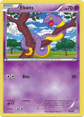 Ekans (16/30) [XY: Trainer Kit - Noivern] | Good Games Morley