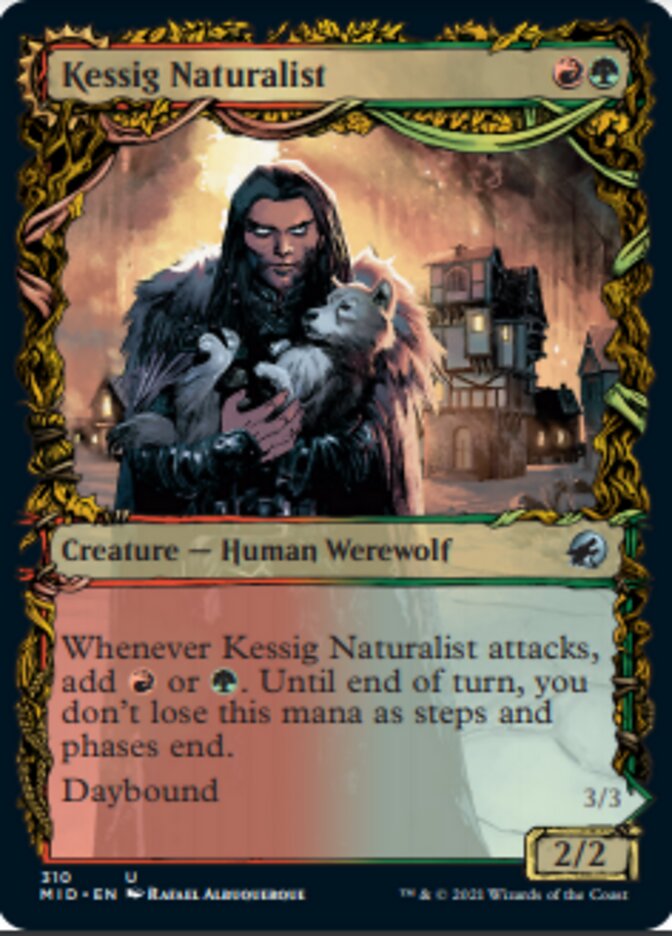 Kessig Naturalist // Lord of the Ulvenwald (Showcase Equinox) [Innistrad: Midnight Hunt] | Good Games Morley