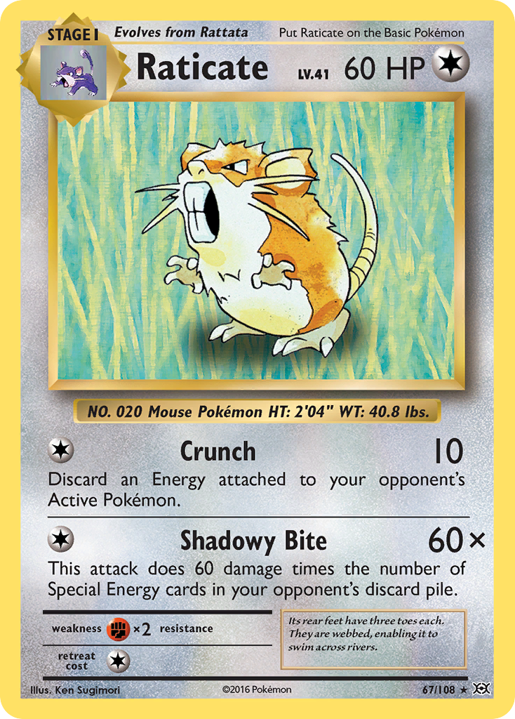 Raticate (67/108) [XY: Evolutions] | Good Games Morley