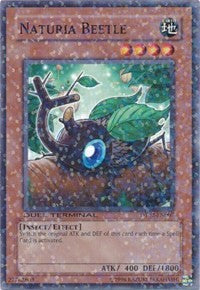Naturia Beetle [DT02-EN007] Common | Good Games Morley