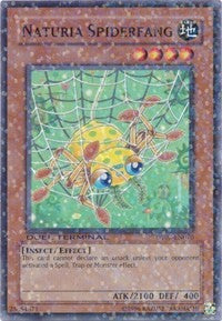 Naturia Spiderfang [DT02-EN070] Common | Good Games Morley