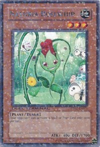 Naturia Rosewhip [DT02-EN071] Rare | Good Games Morley