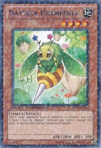 Naturia Horneedle [DT03-EN070] Rare | Good Games Morley