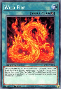 Wild Fire [SGX1-ENH16] Common | Good Games Morley