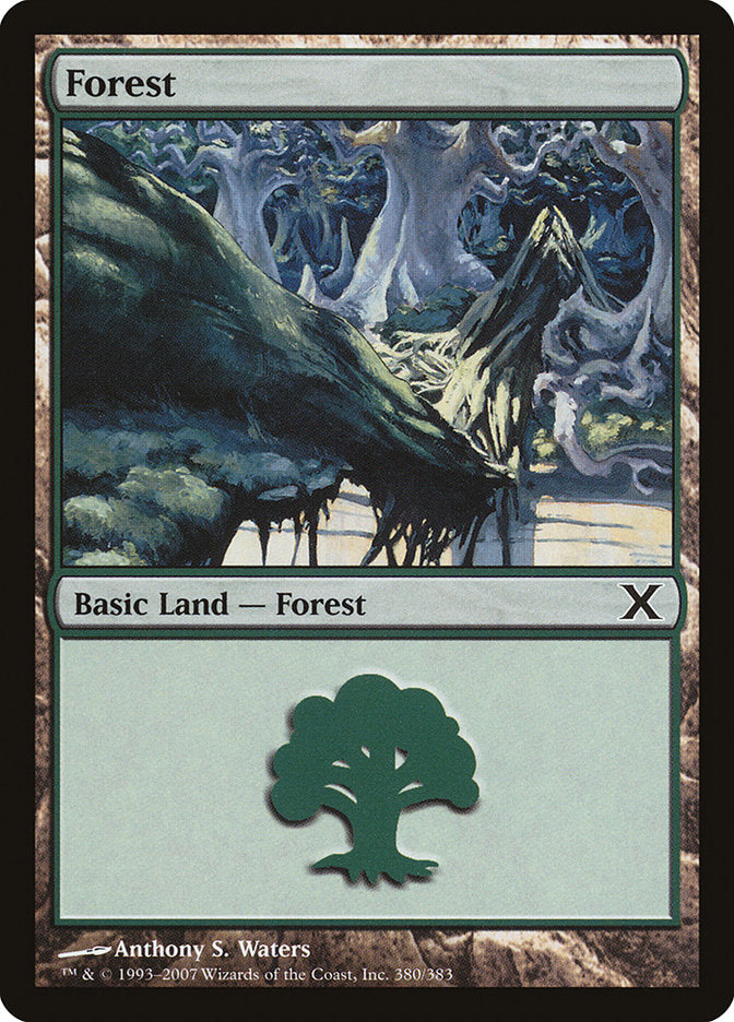 Forest (380) [Tenth Edition] | Good Games Morley