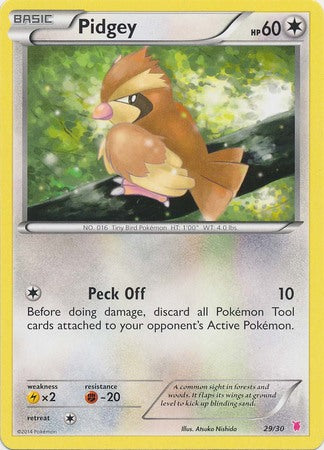Pidgey (29/30) [XY: Trainer Kit 1 - Wigglytuff] | Good Games Morley