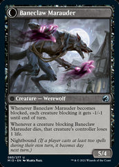 Baneblade Scoundrel // Baneclaw Marauder [Innistrad: Midnight Hunt] | Good Games Morley