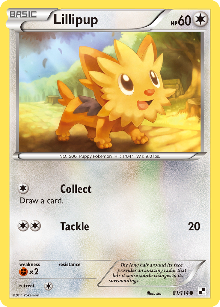 Lillipup (81/114) [Black & White: Base Set] | Good Games Morley