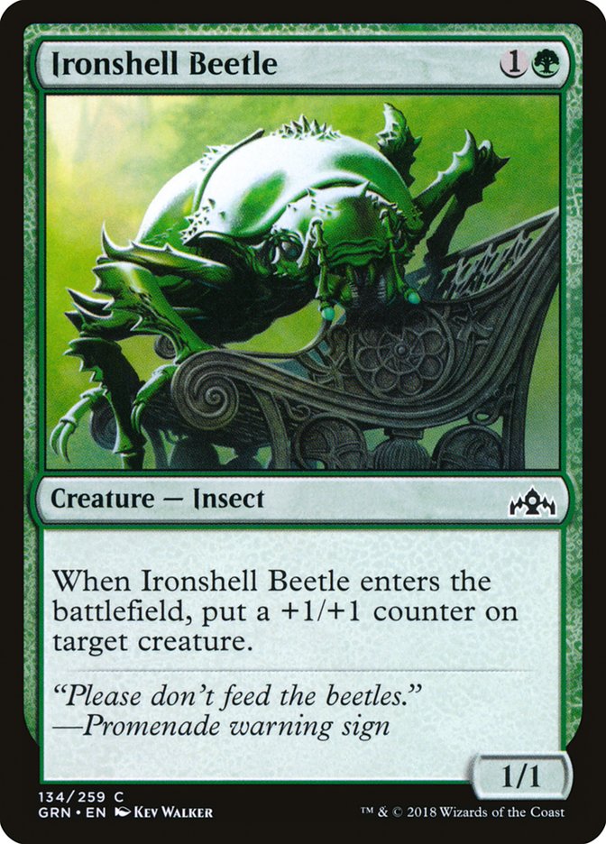 Ironshell Beetle [Guilds of Ravnica] | Good Games Morley