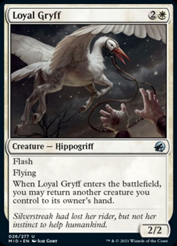 Loyal Gryff [Innistrad: Midnight Hunt] | Good Games Morley