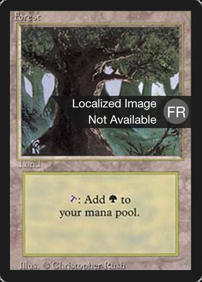 Forest (A) [Foreign Black Border] | Good Games Morley