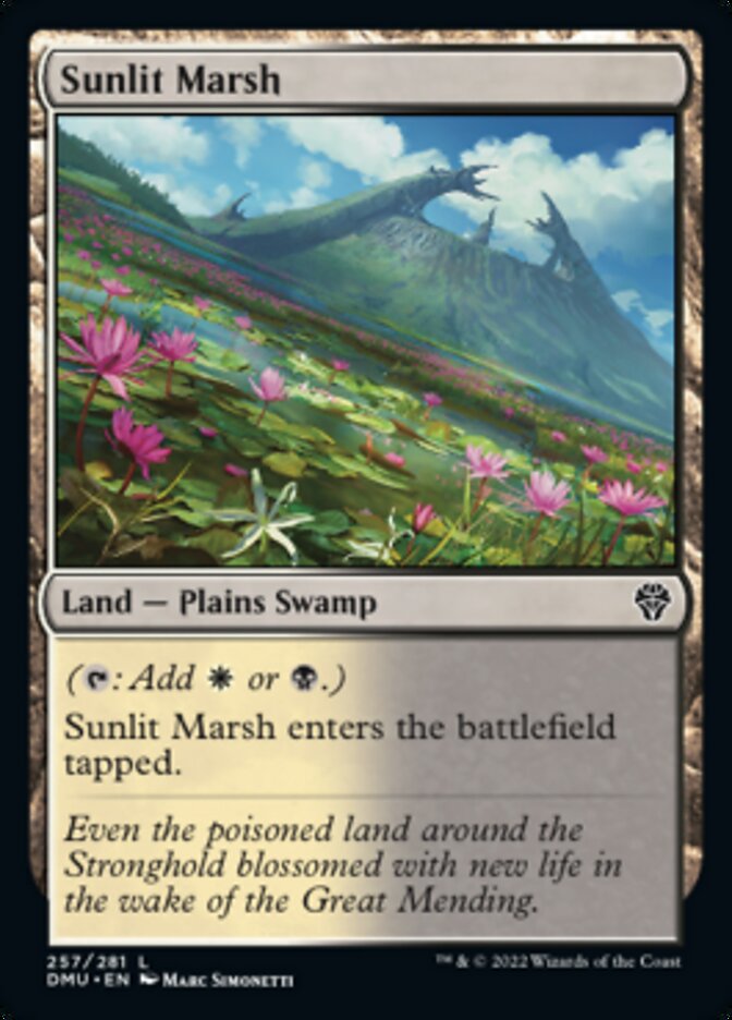 Sunlit Marsh [Dominaria United] | Good Games Morley