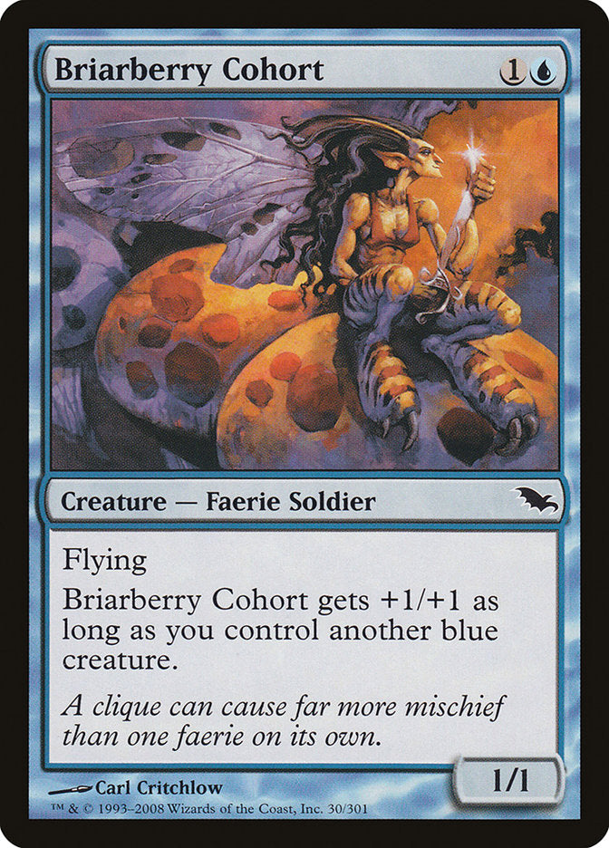 Briarberry Cohort [Shadowmoor] | Good Games Morley