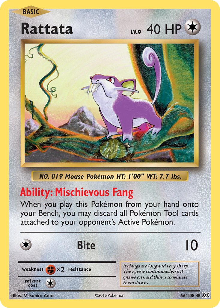 Rattata (66/108) [XY: Evolutions] | Good Games Morley