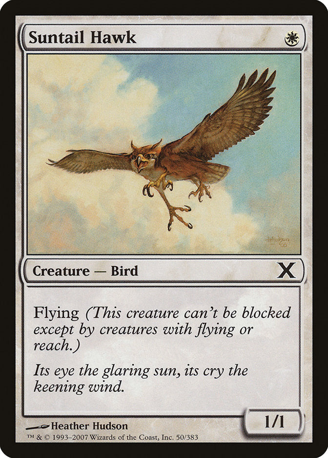 Suntail Hawk [Tenth Edition] | Good Games Morley