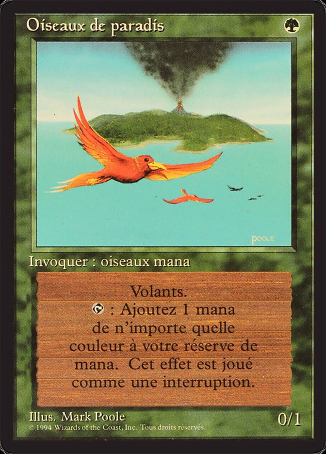 Birds of Paradise [Foreign Black Border] | Good Games Morley