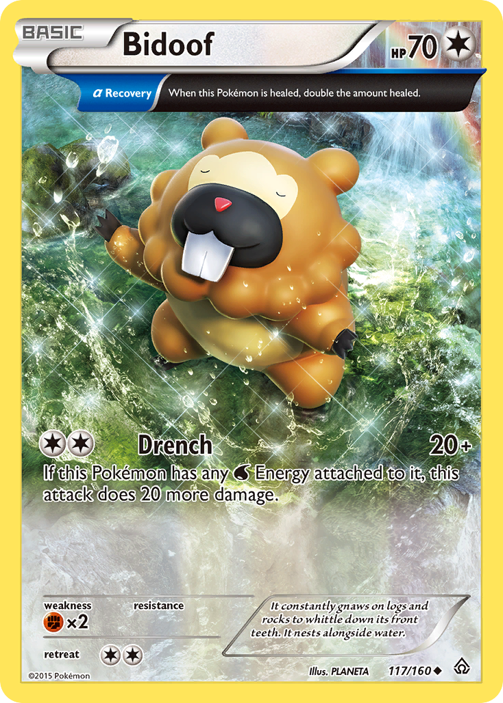 Bidoof (117/160) [XY: Primal Clash] | Good Games Morley