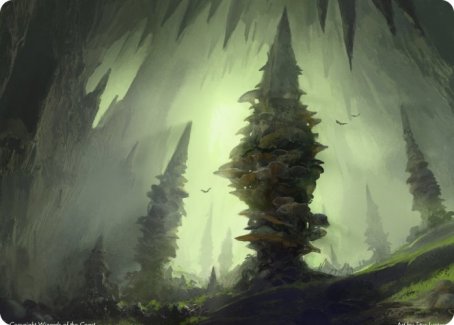 Forest (280) Art Card [Dungeons & Dragons: Adventures in the Forgotten Realms Art Series] | Good Games Morley