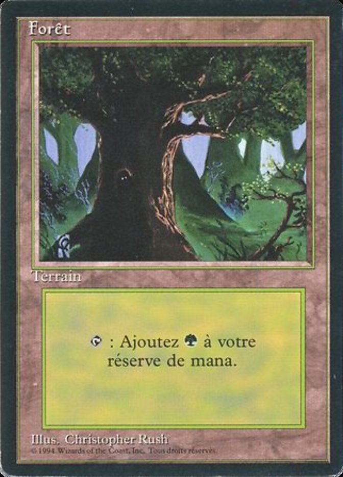 Forest (C) [Foreign Black Border] | Good Games Morley
