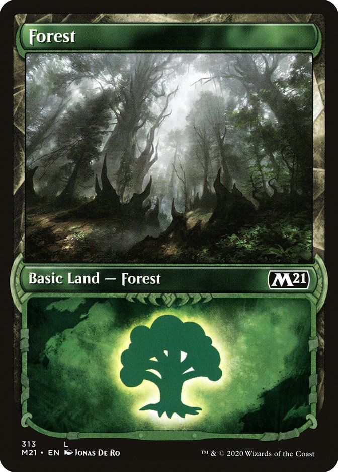 Forest (313) (Showcase) [Core Set 2021] | Good Games Morley