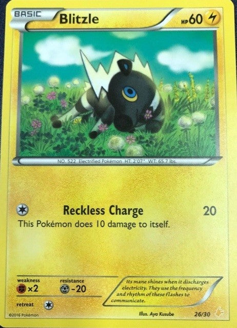 Blitzle (26/30) [XY: Trainer Kit 3 - Pikachu Libre] | Good Games Morley