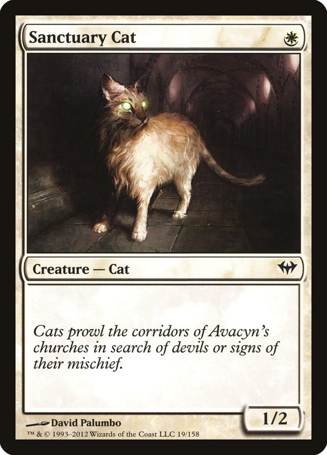 Sanctuary Cat [Dark Ascension] | Good Games Morley