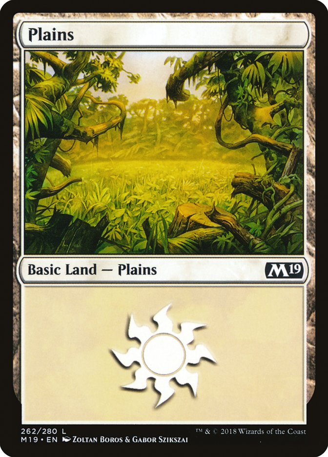 Plains (262) [Core Set 2019] | Good Games Morley