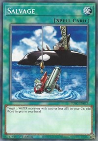 Salvage [SDFC-EN032] Common | Good Games Morley