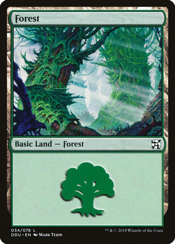 Forest (34) [Duel Decks: Elves vs. Inventors] | Good Games Morley
