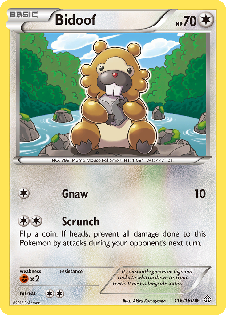 Bidoof (116/160) [XY: Primal Clash] | Good Games Morley
