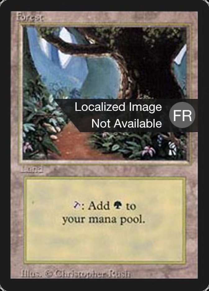 Forest (B) [Foreign Black Border] | Good Games Morley